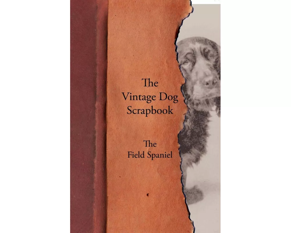 The Vintage Dog Scrapbook - The Field Spaniel
