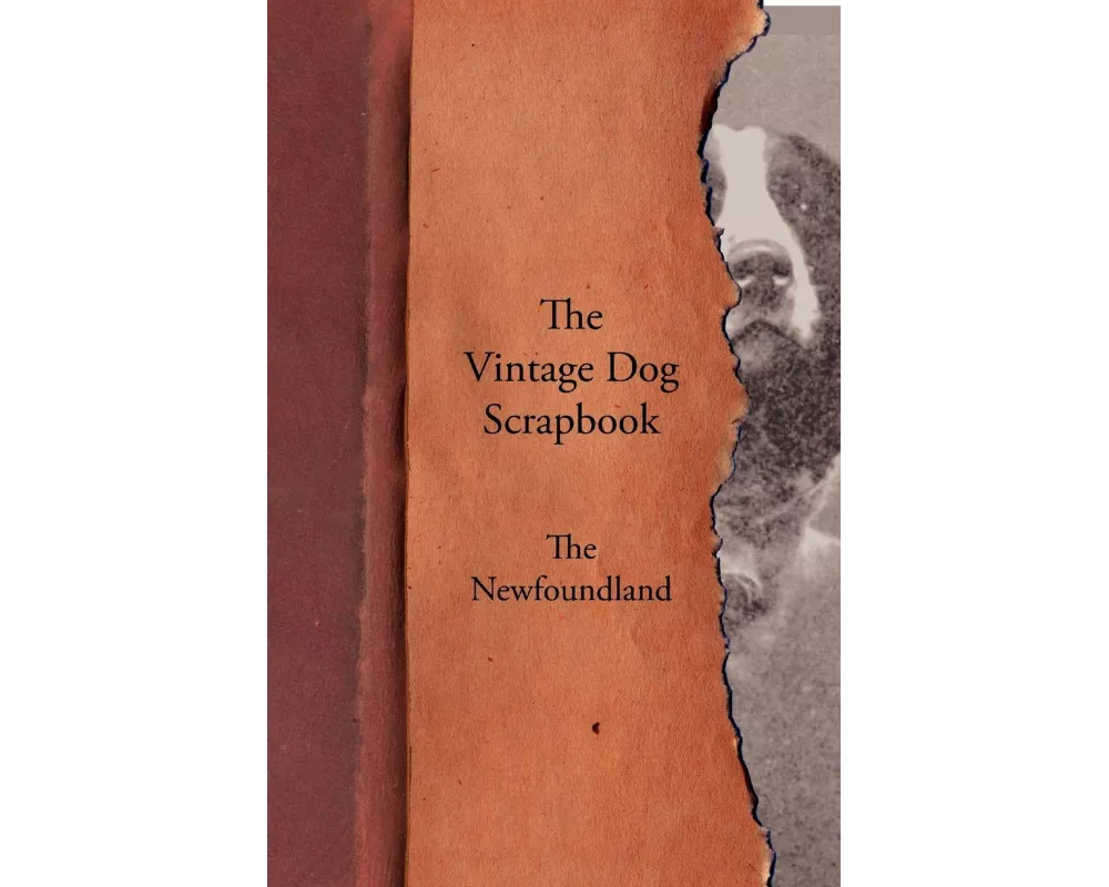 The Vintage Dog Scrapbook - The Newfoundland