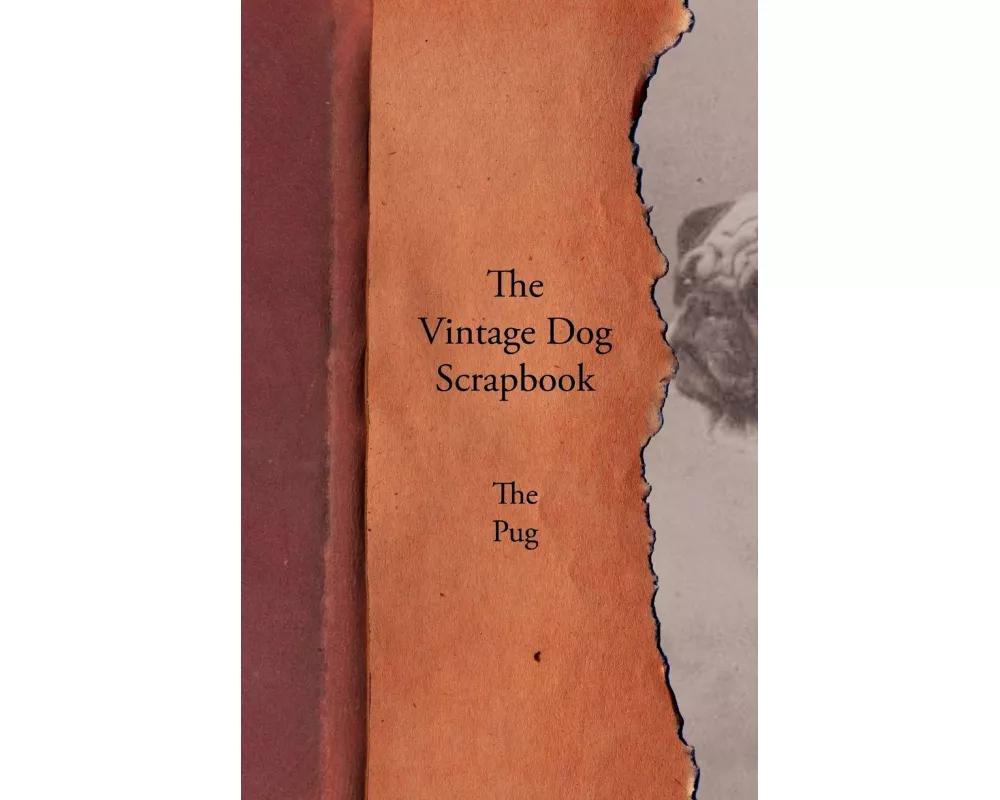 The Vintage Dog Scrapbook - The Pug