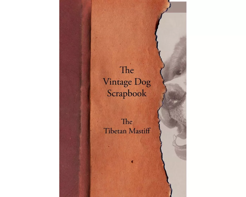 The Vintage Dog Scrapbook - The Tibetan Mastiff