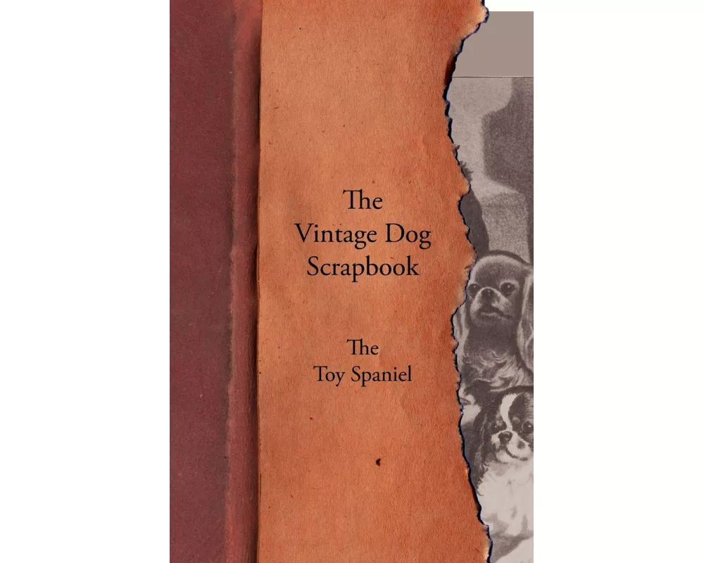The Vintage Dog Scrapbook - The Toy Spaniel