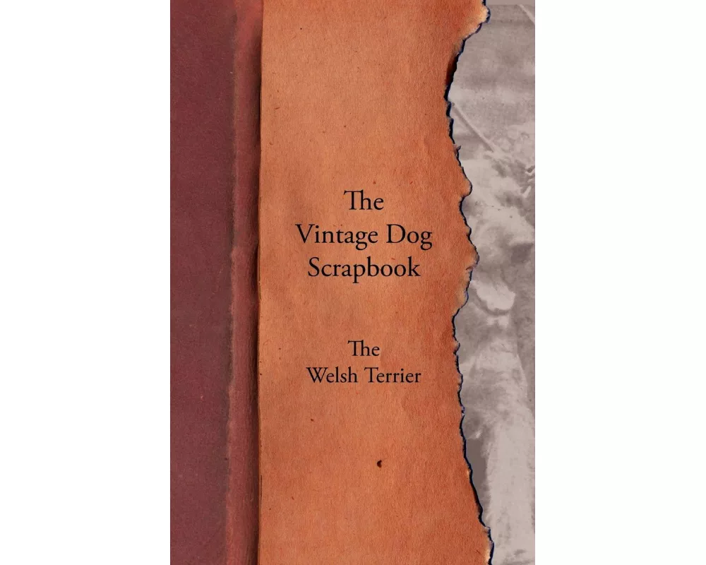The Vintage Dog Scrapbook - The Welsh Terrier