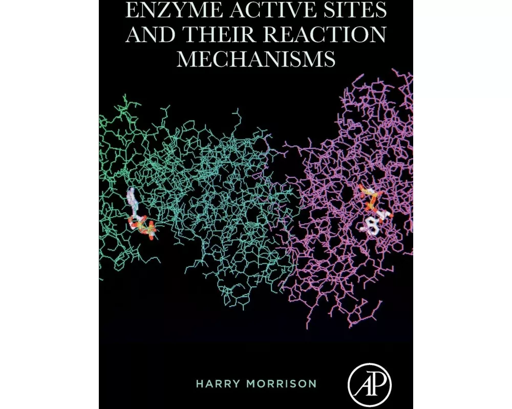 Enzyme Active Sites and Their Reaction Mechanisms