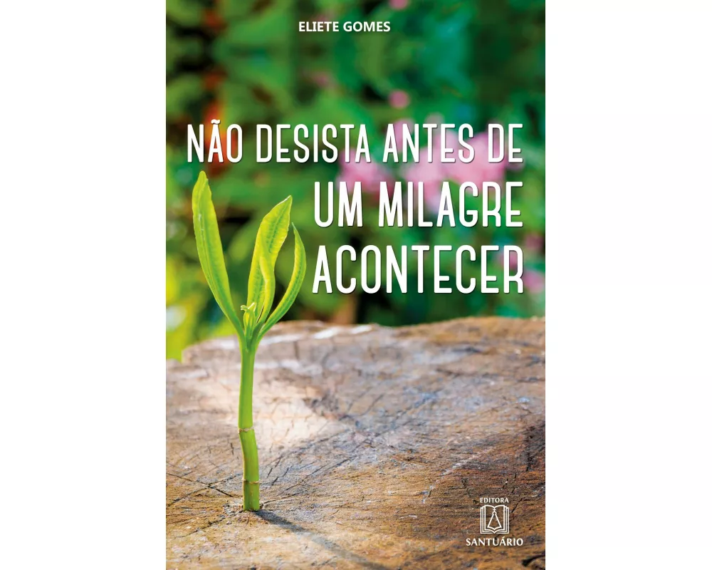 Não desista antes de um milagre acontecer