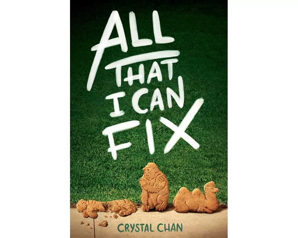 All That I Can Fix