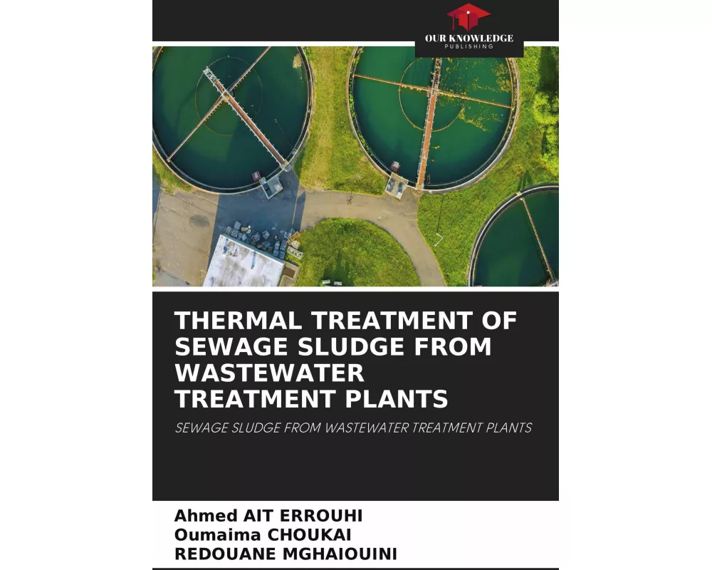 Thermal Treatment Of Sewage Sludge From Wastewater Treatment Plants