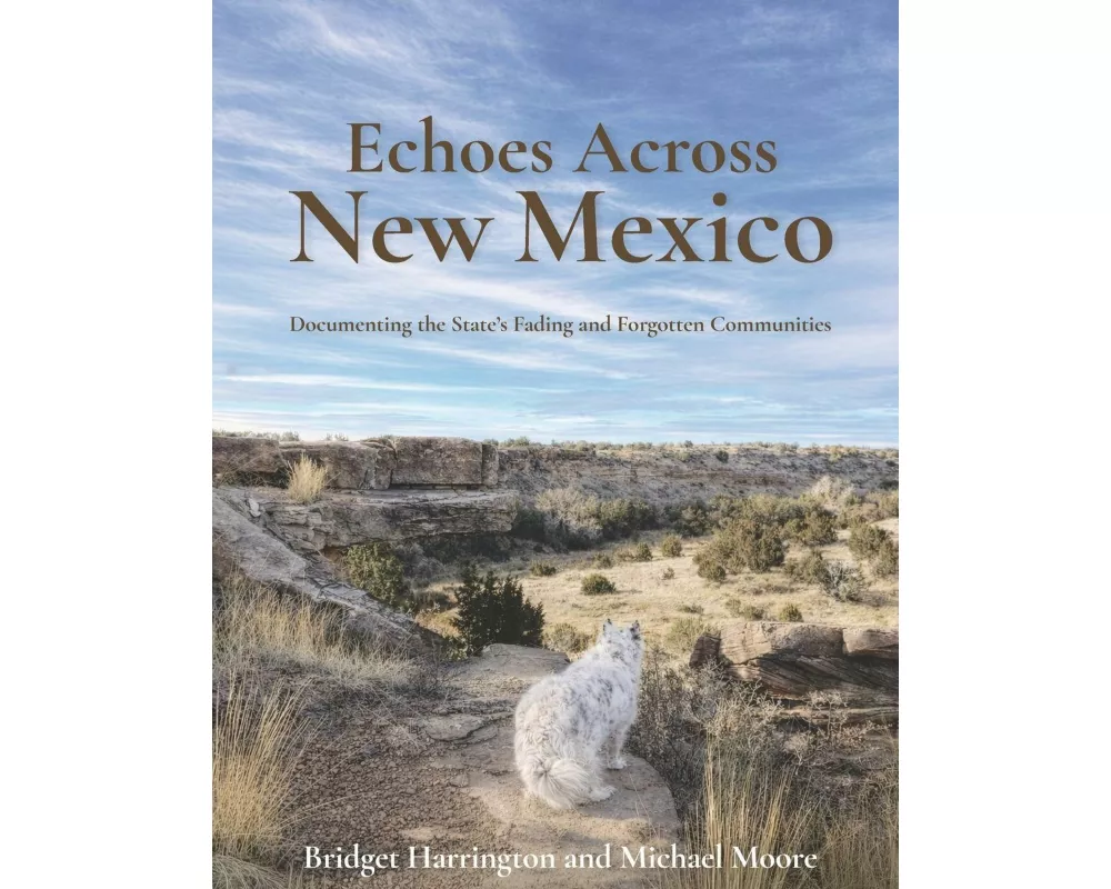 Echoes Across New Mexico