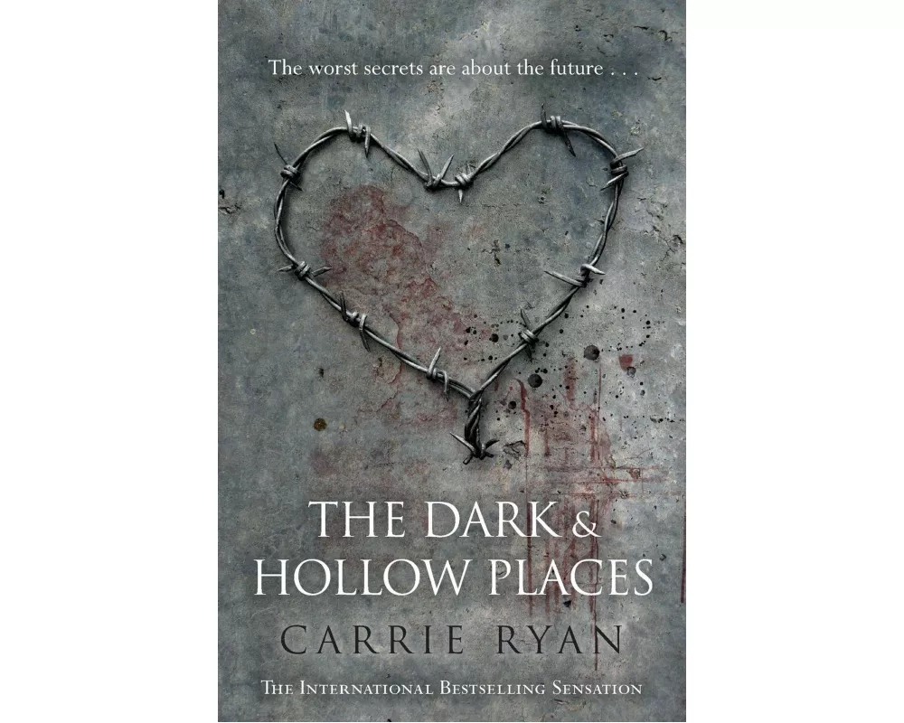 The Dark and Hollow Places