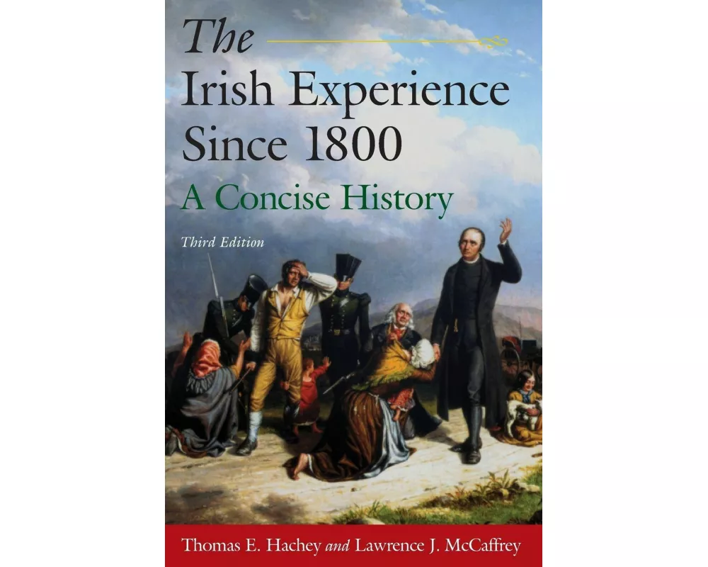 The Irish Experience Since 1800: A Concise History