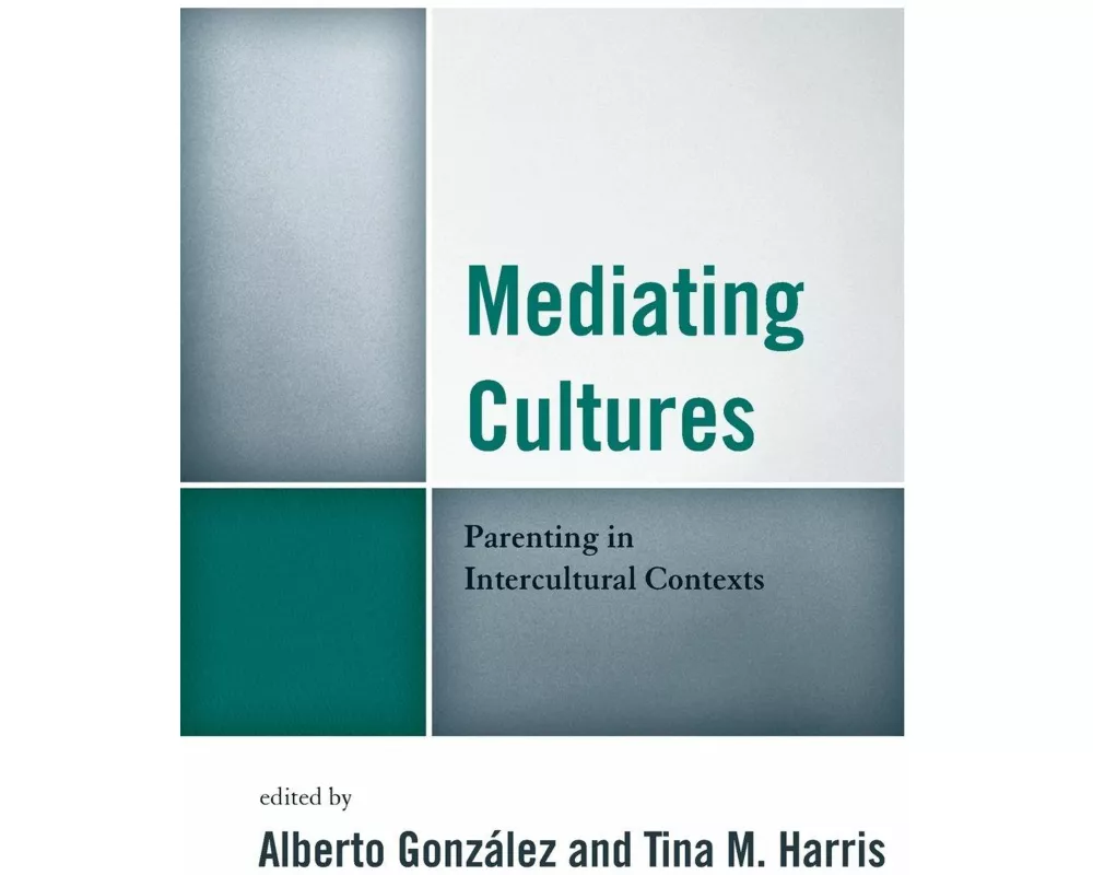 Mediating Cultures