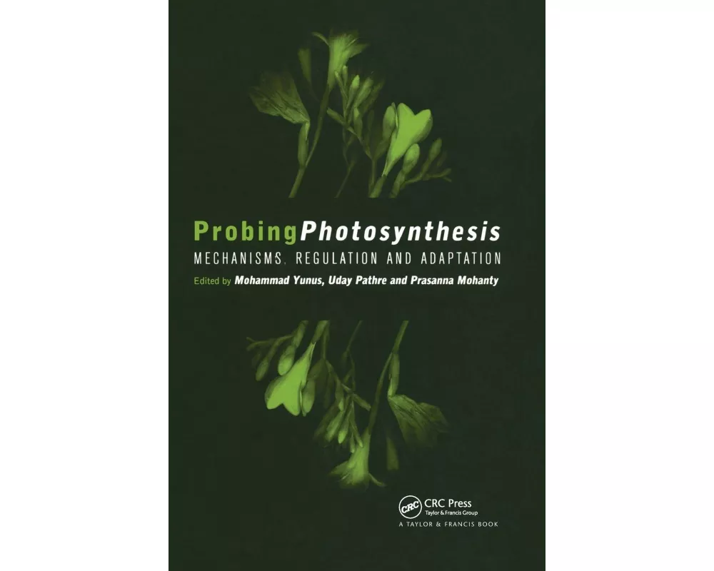 Probing Photosynthesis