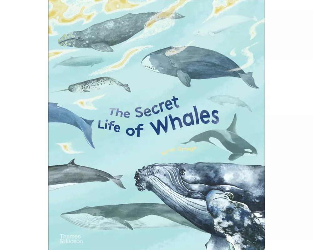 The Secret Life of Whales
