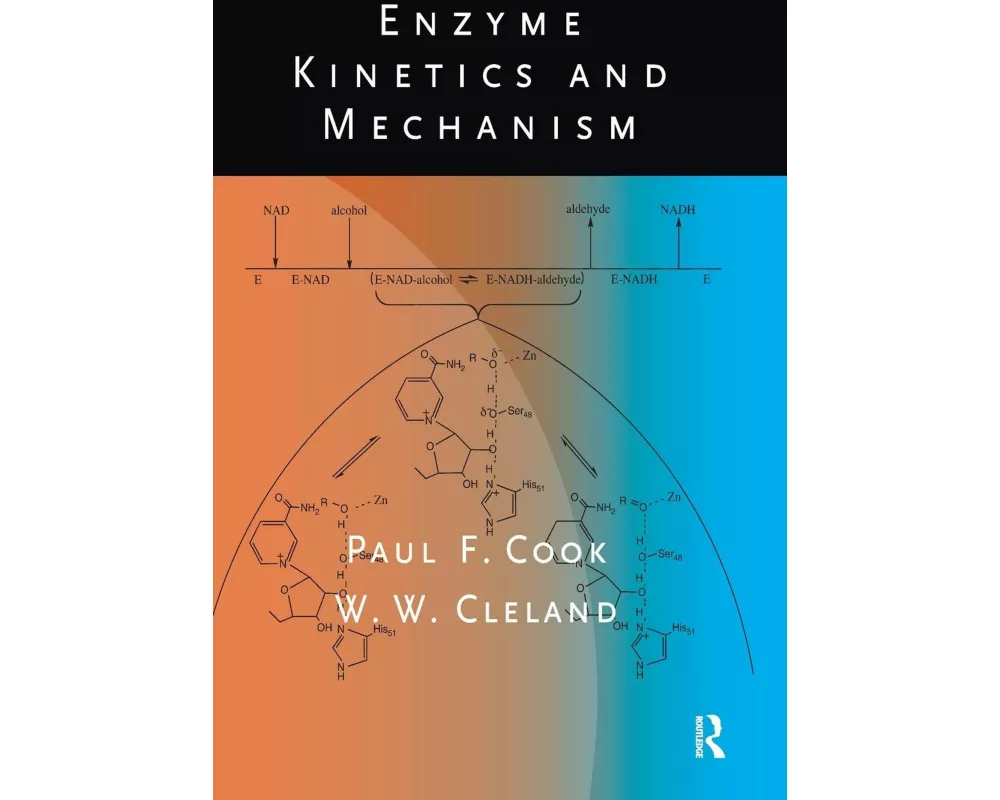Enzyme Kinetics and Mechanism