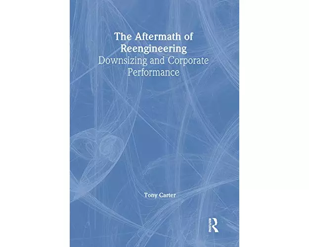 The Aftermath of Reengineering