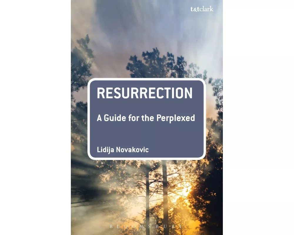 Resurrection: A Guide for the Perplexed