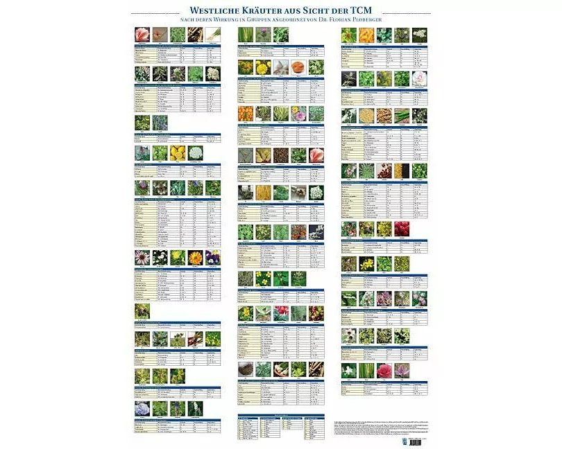 Plakat Westliche Kräuter aus Sicht der TCM mit 122 Abbildungen