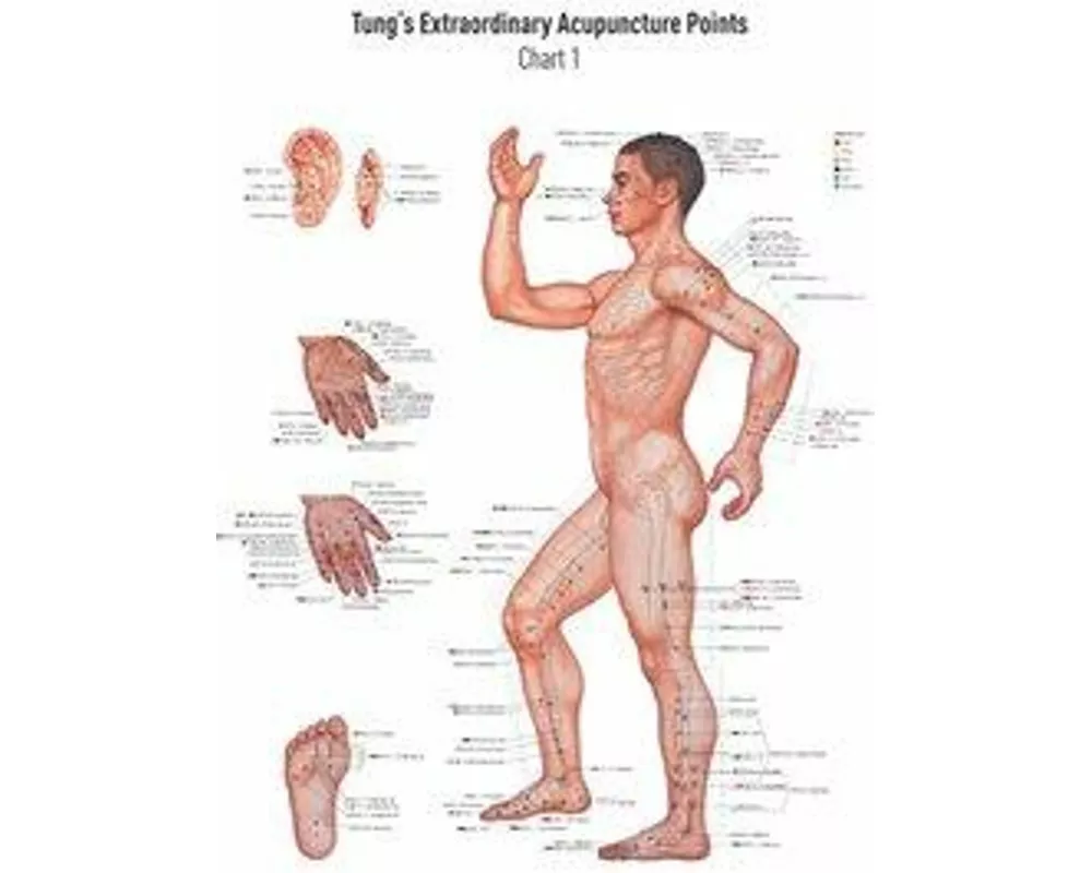 Akupunkturtafel Chart 1 TUNG's Extraordinary Acupuncture Points on the regular channels