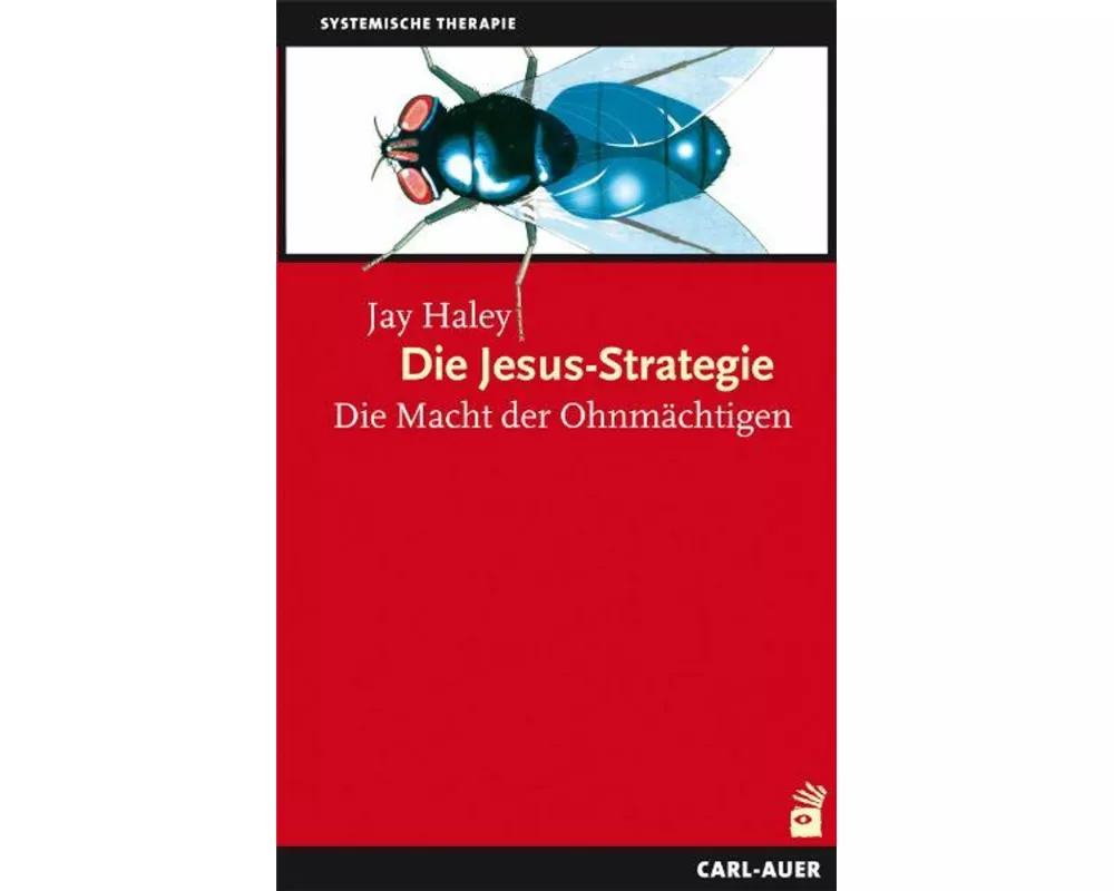 Die Jesus-Strategie