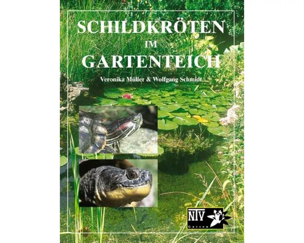 Schildkröten im Gartenteich
