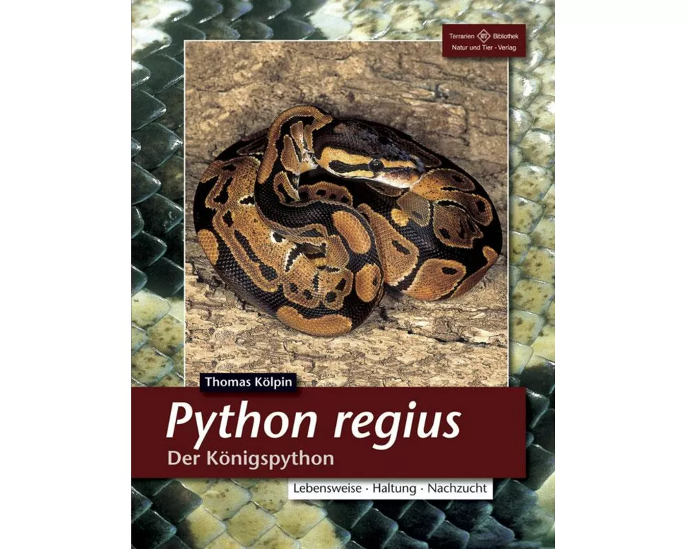 Python Regius