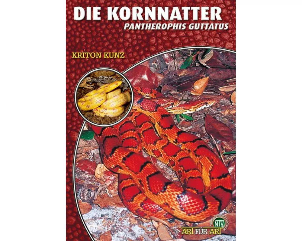 Die Kornnatter