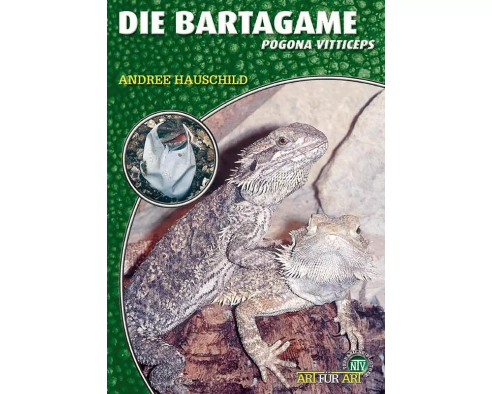 Die Bartagame