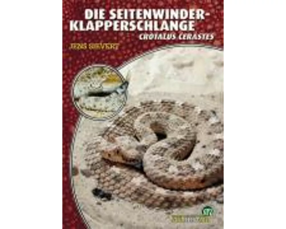Die Seitenwinder-Klapperschlange