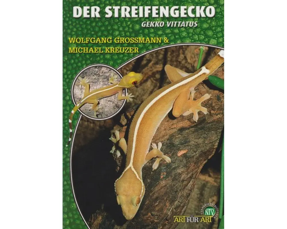 Der Streifengecko