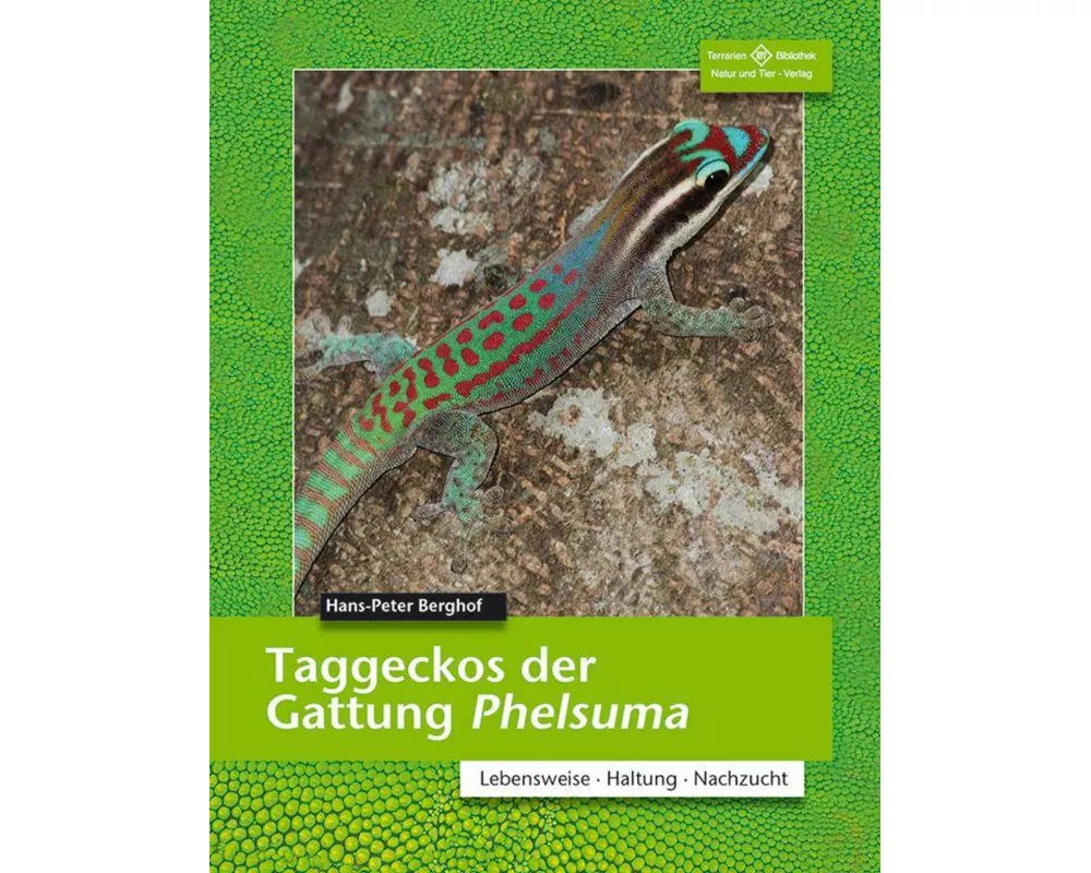 Taggeckos der Gattung Phelsuma