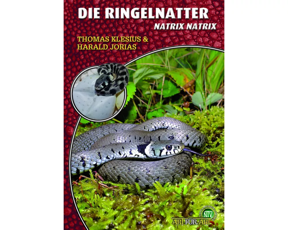 Die Ringelnatter