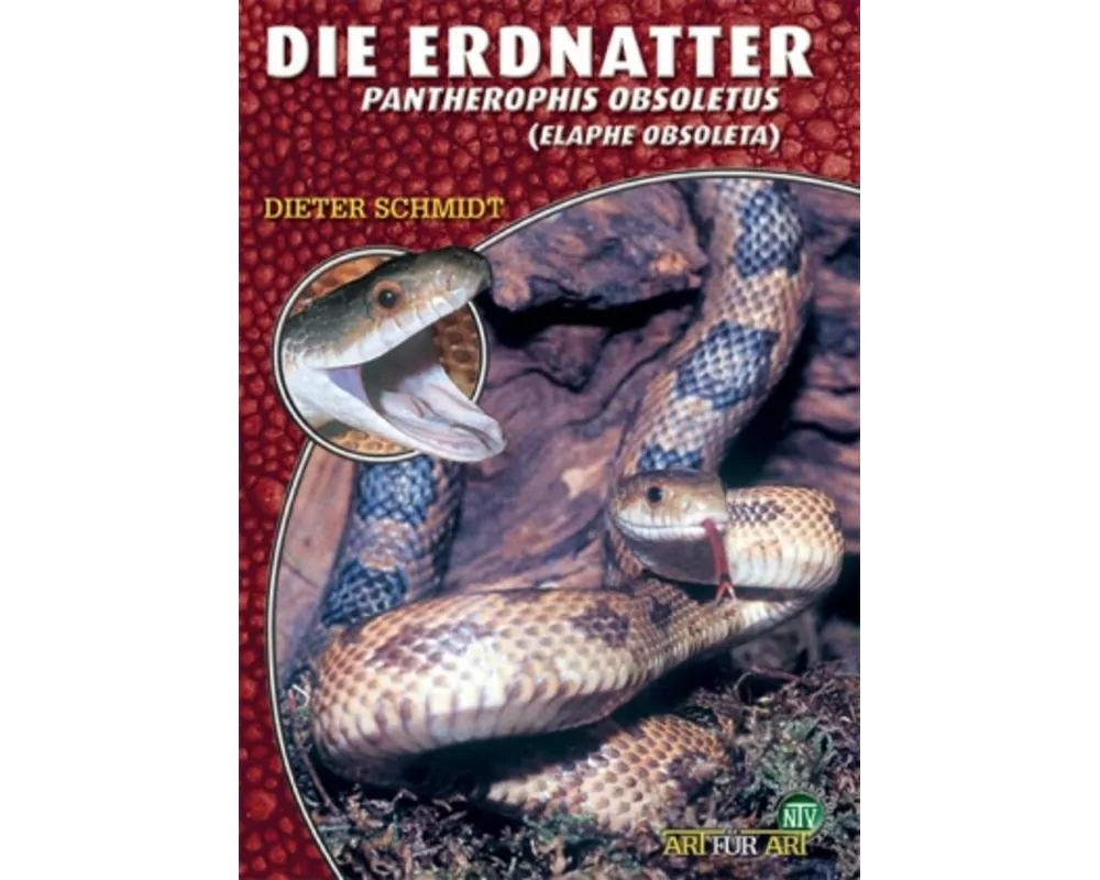 Die Erdnatter