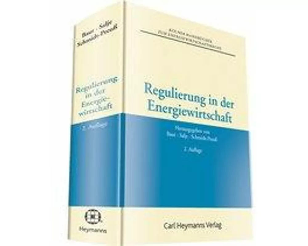 Regulierung in der Energiewirtschaft