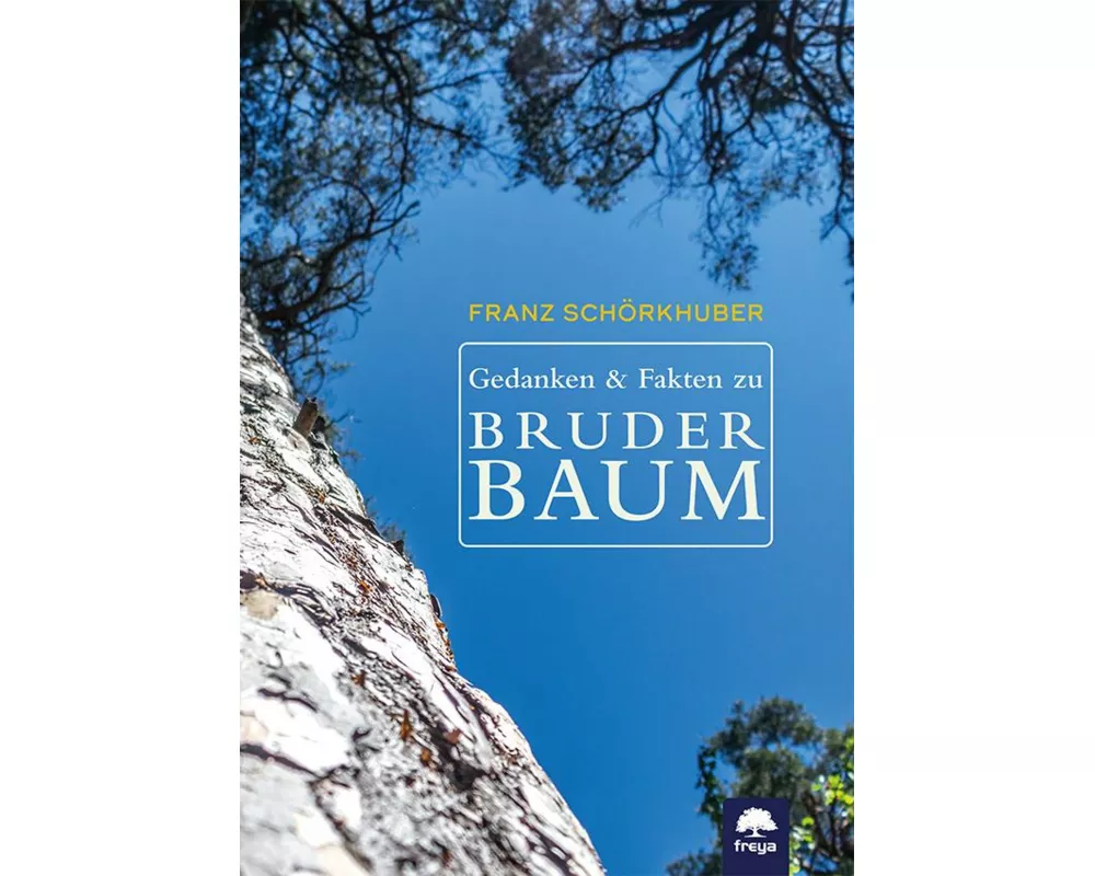 Gedanken und Fakten zu Bruder Baum