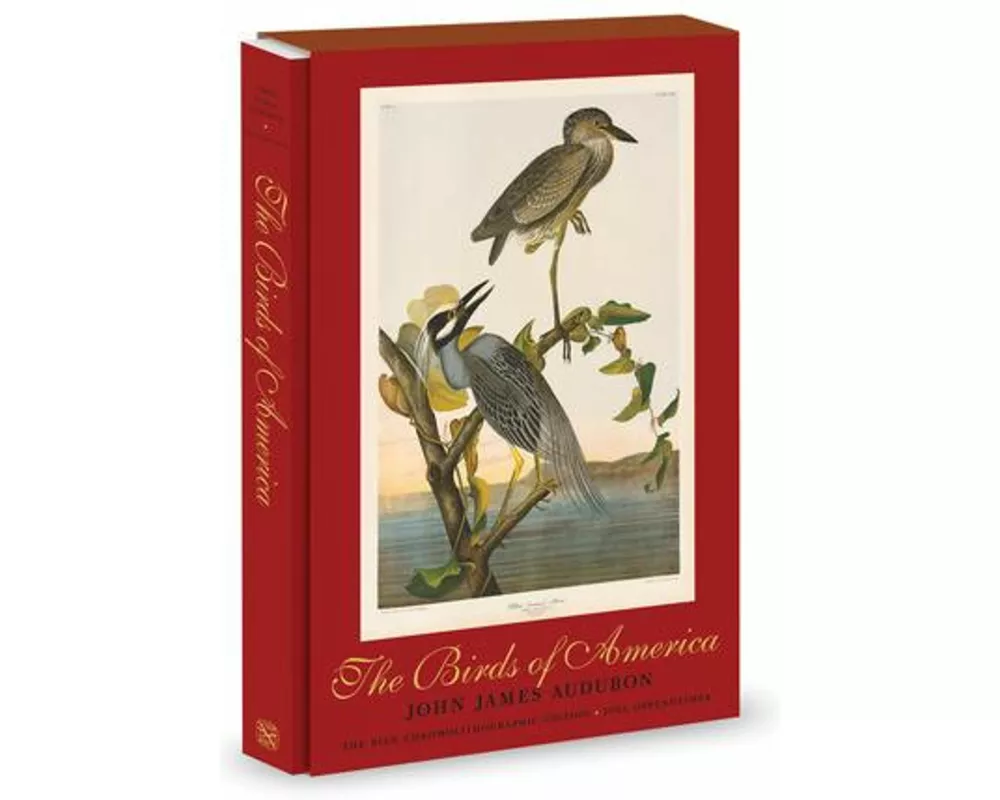 The Birds of America