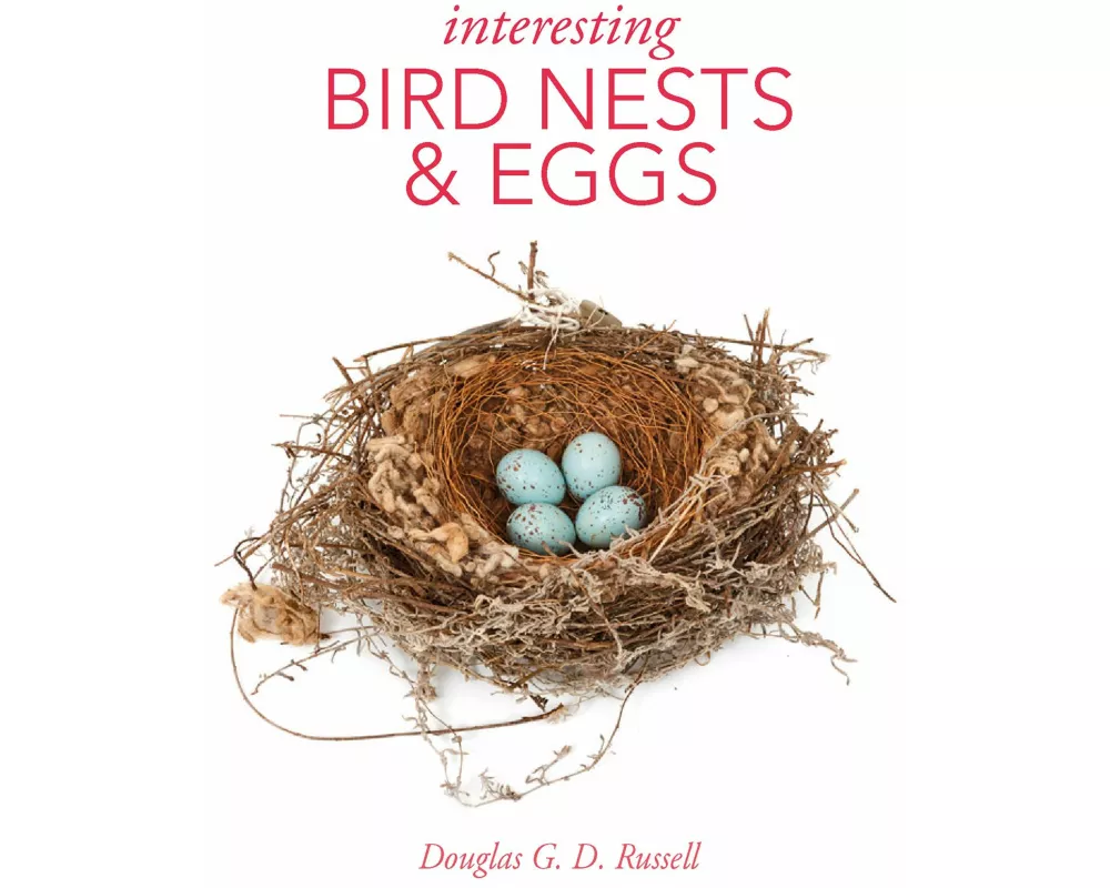 Interesting Bird Nests and Eggs