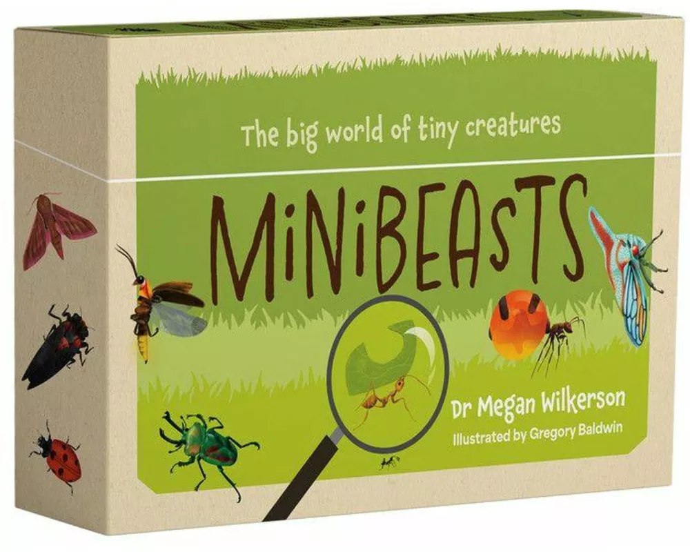 Minibeasts