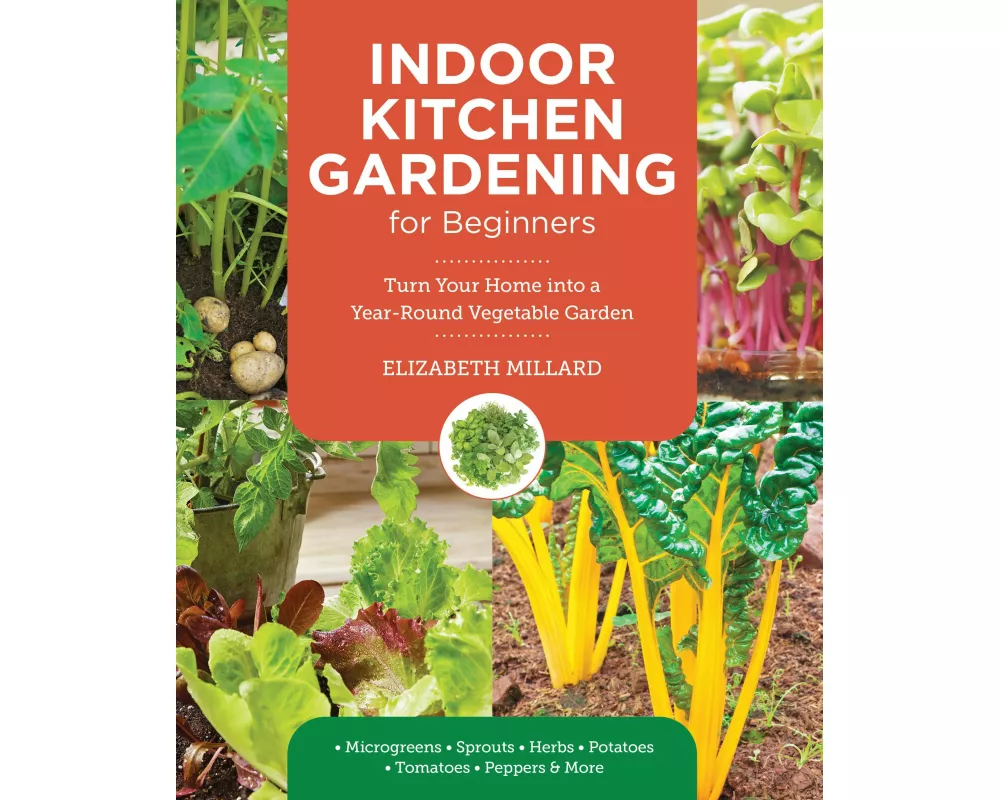 Indoor Kitchen Gardening for Beginners