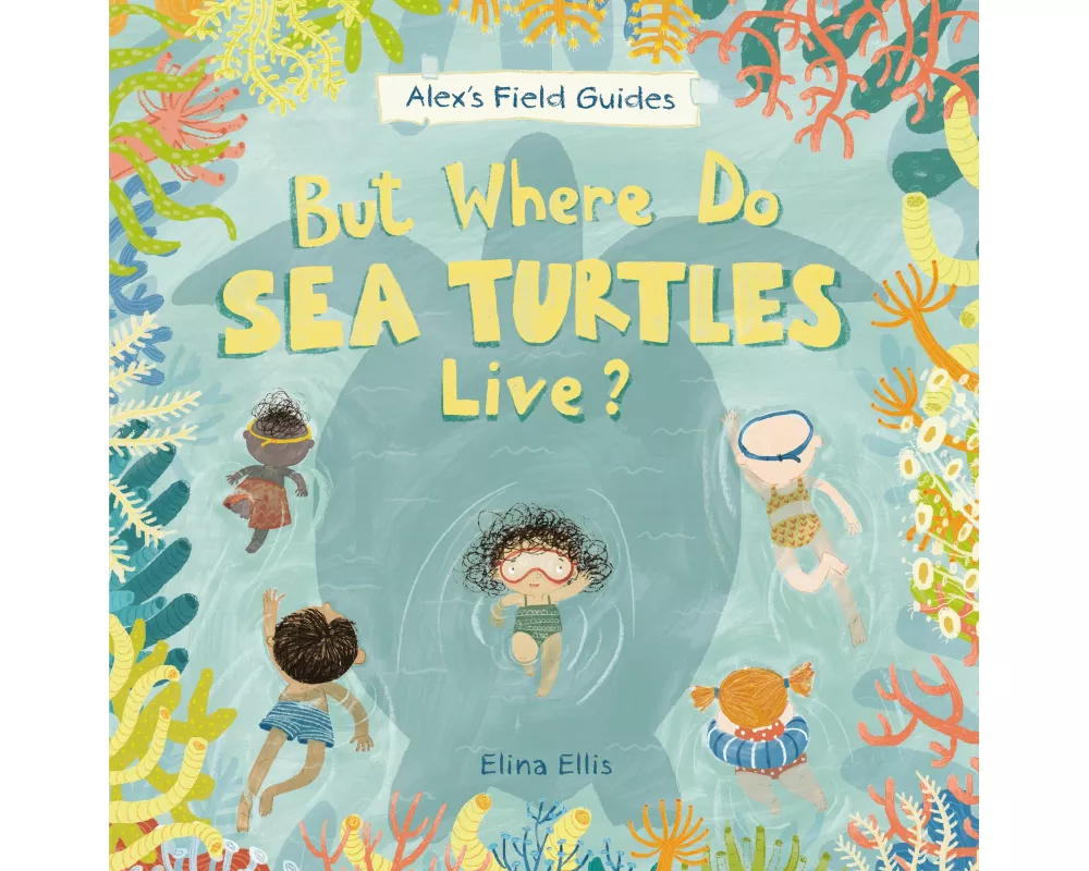 But Where Do Sea Turtles Live?