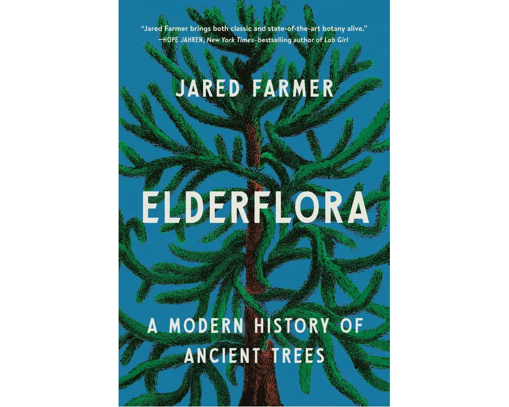 Elderflora