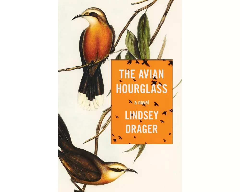 The Avian Hourglass