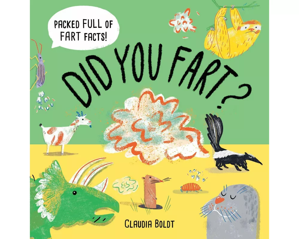 Did You Fart?