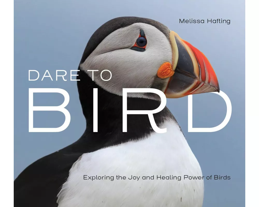 Dare to Bird
