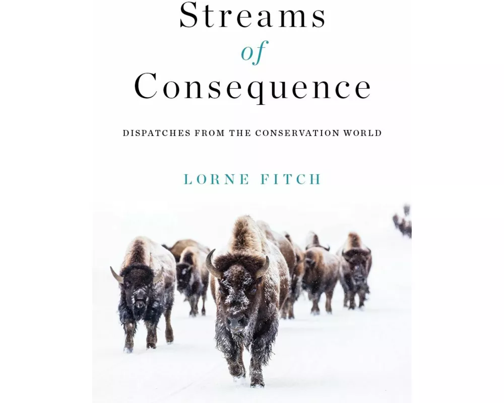 Streams of Consequence