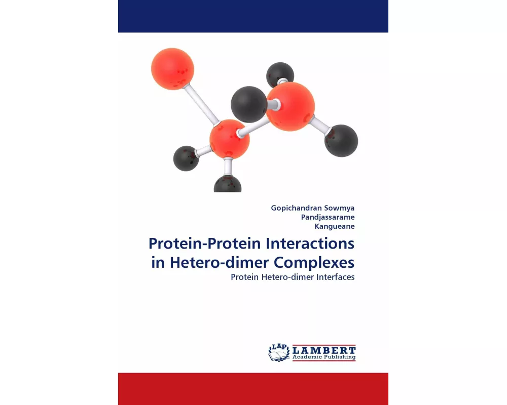 Protein-Protein Interactions in Hetero-dimer Complexes