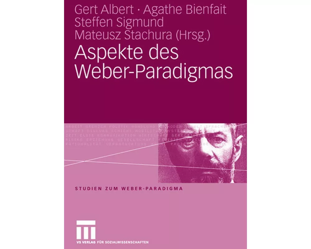 Aspekte des Weber-Paradigmas