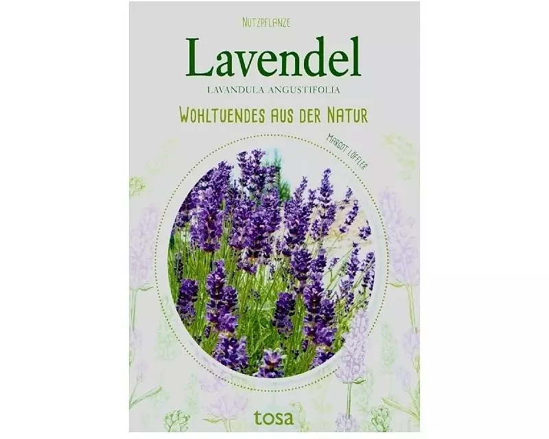 Lavendel