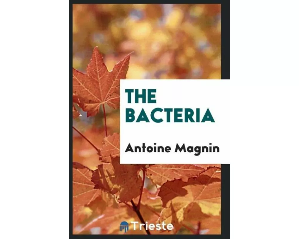The Bacteria
