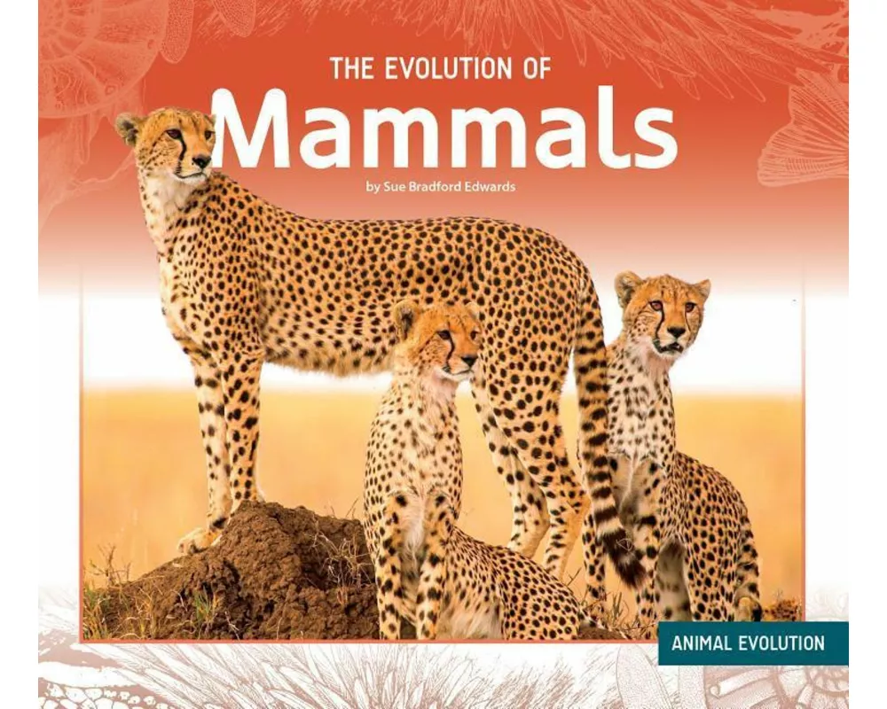 Evolution of Mammals
