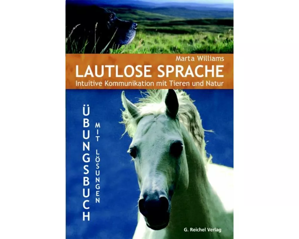 Lautlose Sprache
