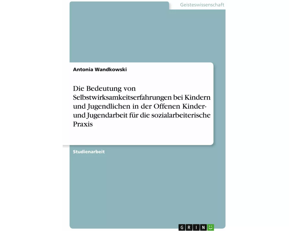 Die Bedeutung von Selbstwirksamkeitserfahrungen bei Kindern und Jugendlichen in der Offenen Kinder- und Jugendarbeit für die sozialarbeiterische Praxi